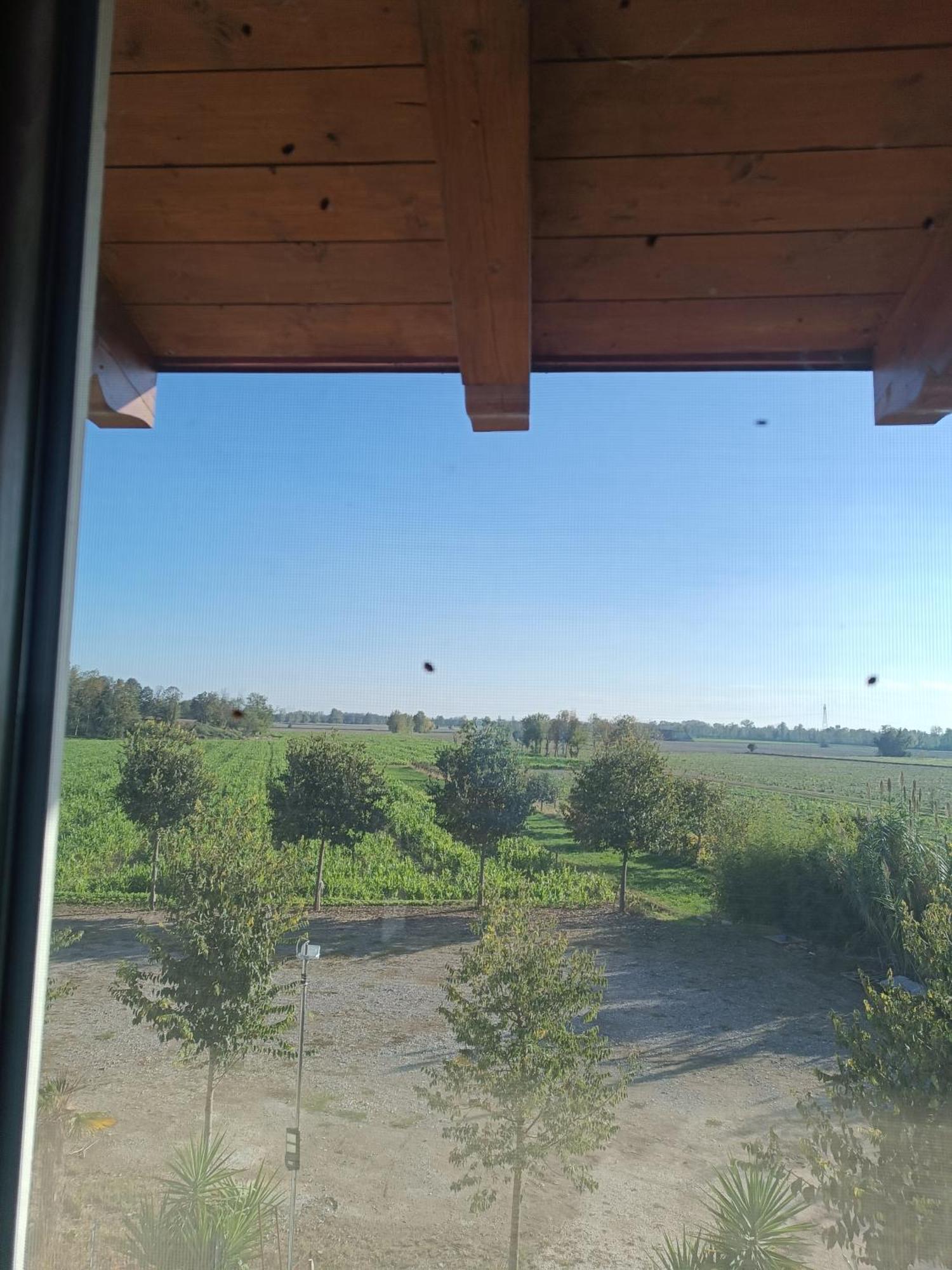 Agriturismo Le Fontanelle Da Valente Montichiari Ngoại thất bức ảnh