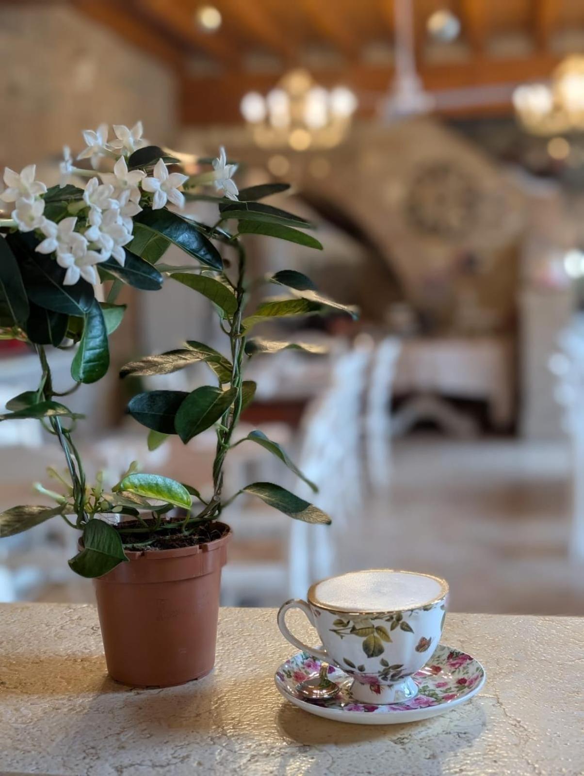 Agriturismo Le Fontanelle Da Valente Montichiari Ngoại thất bức ảnh